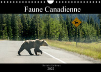 FAUNE CANADIENNE (CALENDRIER MURAL 2022 DIN A4 HORIZONTAL) - A LA RENCONTRE DE LA FAUNE OUEST-CANADI