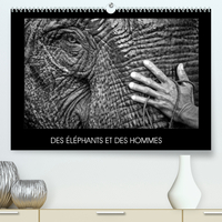 DES ELEPHANTS ET DES HOMMES (PREMIUM, HOCHWERTIGER DIN A2 WANDKALENDER 2022, KUNSTDRUCK IN HOCHGLANZ