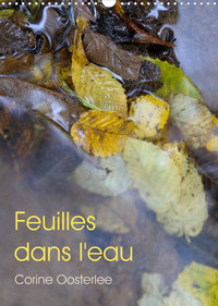 Feuilles dans l'eau (Calendrier mural 2022 DIN A3 vertical)
