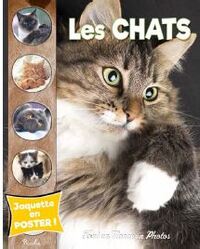 LES CHATS - TOUT UN MONDE EN PHOTOS