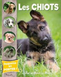 LES CHIOTS - TOUT UN MONDE EN PHOTOS