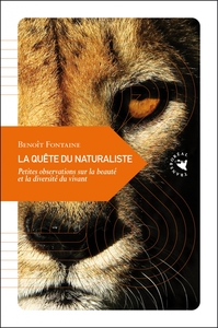 LA QUETE DU NATURALISTE - PETITES OBSERVATIONS SUR LA BEAUTE