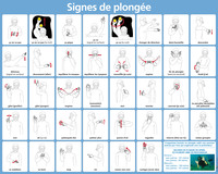 SIGNES DE PLONGEE