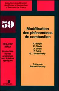 MODELISATION DES PHENOMENES DE COMBUSTION