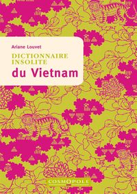 DICTIONNAIRE INSOLITE DU VIETNAM