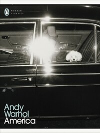Andy Warhol America /anglais