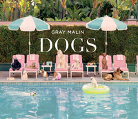 Dogs