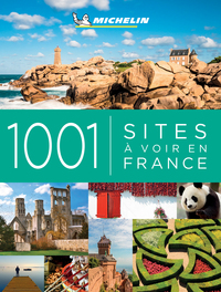 1001 SITES A VOIR EN FRANCE