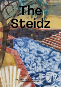 The Steidz HS : Perrotin