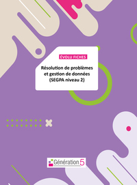 Evolu Fiches : Résolution de pb et gestion de données SEGPA niv 2 (fichier papier + téléchargement)