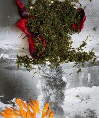 Devenir fleur - [exposition, Nice, Musée d'art moderne et d'art contemporain, 10 novembre 2022-30 avril 2023]