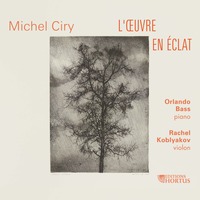 L'oeuvre en éclat