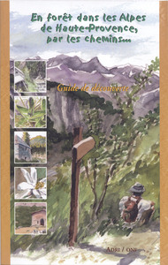 **EN FORET DANS LES ALPES DE HAUTE PROVENCE.**