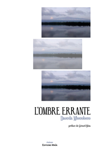 L'Ombre errante