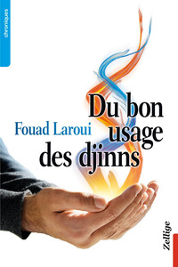 Du Bon Usage Des Djinns