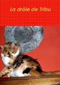 LA DROLE DE TRIBU