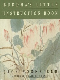 BUDDHA'S LITTLE INSTRUCTION BOOK