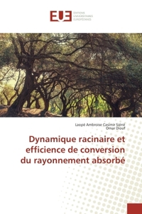 Dynamique racinaire et efficience de conversion du rayonnement absorbe