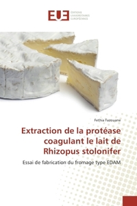 Extraction de la protease coagulant le lait de Rhizopus stolonifer