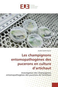 Les champignons entomopathogènes des pucerons en culture d'artichaut
