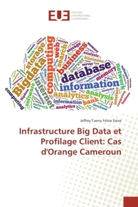 Infrastructure Big Data et Profilage Client: Cas d'Orange Cameroun