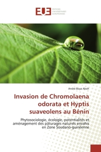 Invasion de Chromolaena odorata et Hyptis suaveolens au BENIN