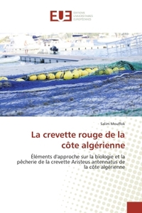 La crevette rouge de la côte algérienne