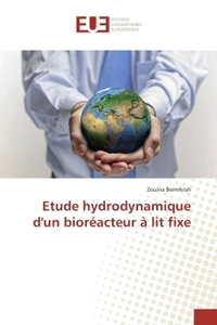 Etude hydrodynamique d'un bioreacteur A lit fixe