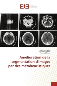 Ame lioration de la segmentation d'images par des me taheuristiques