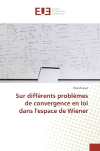Sur differents problemes de convergence en loi dans l'espace de Wiener