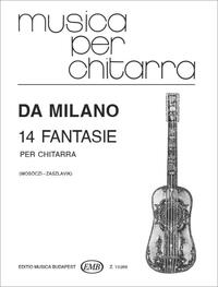 14 FANTASIE GUITARE