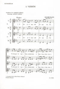 A VIZIREM CHANT