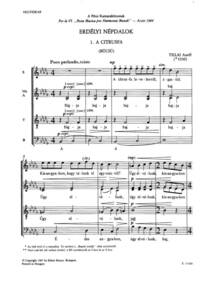 TRANSYLVANIAN FOLKSONGS CHANT