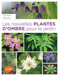 Les Nouvelles plantes d'ombre pour le jardin