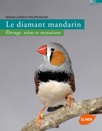 Le diamant mandarin élevage, soins et mutations