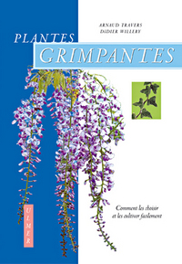 Plantes grimpantes