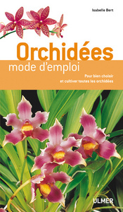 Orchidées mode d'emploi