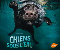 CHIENS SOUS L'EAU