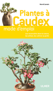 Plantes à caudex de A à Z