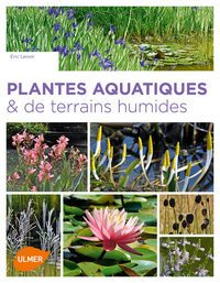 Plantes aquatiques & de terrains humides