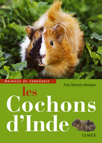 LES COCHONS D'INDE