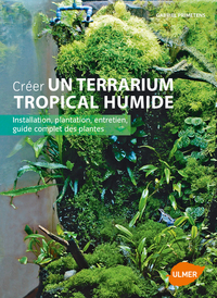 Créer un terrarium tropical humide