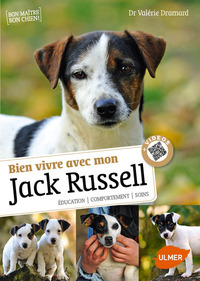 Bien vivre avec mon Jack Russel + Vidéos