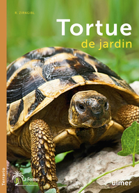 La Tortue de jardin