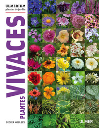 Plantes vivaces