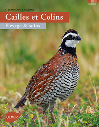 Cailles et colins. Elevage et soins