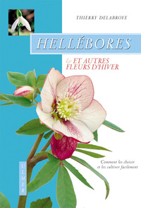 Hellébores et autres fleurs d'hiver