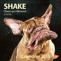 Shake chiens qui s'ébrouent - Calendrier 2015