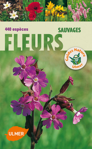 Fleurs sauvages. 440 espèces