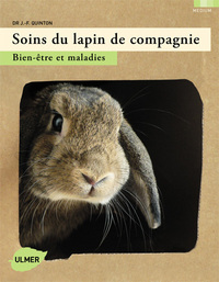 Soins du lapin de compagnie